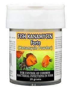 Fish Kanamycin - Kanamycin