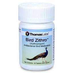 Bird Zithro (Azithromycin)