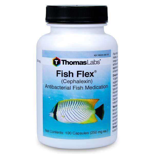 Fish Flex - Cephalexin/Keflex 250 mg Capsules (100 Count) (Limited Stock) [DISCONTINUED]