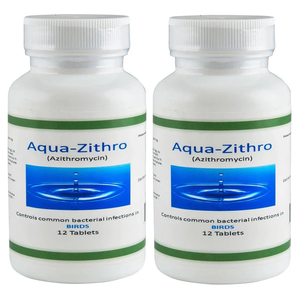 Bird Zithro Equivalent - Aqua Zithro Azithromycin 250 mg Tablets 12 Count - 2 PACK (UNAVAILABLE)