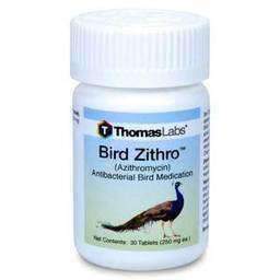 Azithromycin online fish