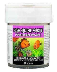 Fish Quine - Chloroquine Phosphate