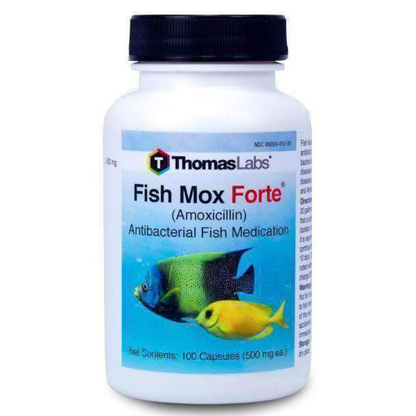 Best Aquaponic Fish Antibiotics