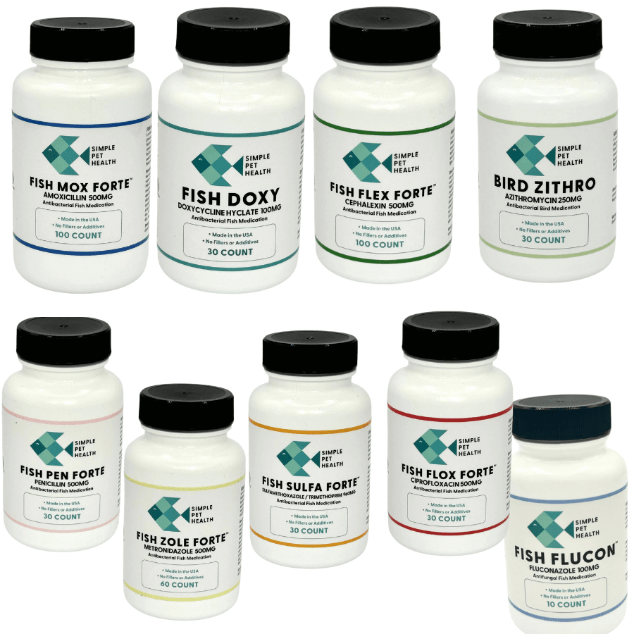 Cephalexin and Keflex Fish Antibiotics - Fish Flex & Fish Flex Forte ...
