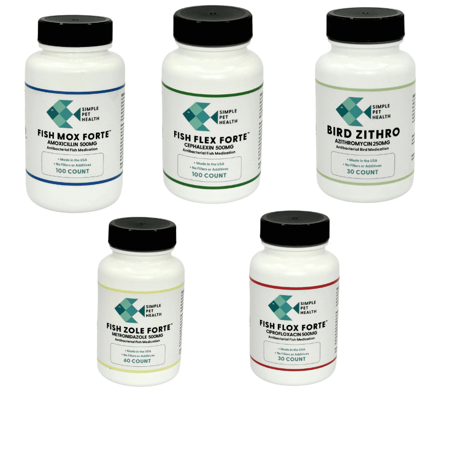 Fish Antibiotics Best Seller Pack - 5 Count