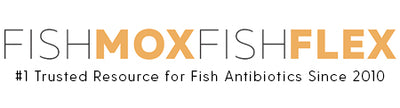 FishMoxFishFlex.com