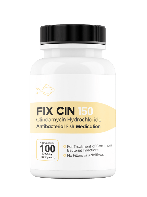 Fish Cin™ - Clindamycin 150 mg 100 Count - OUT OF STOCK