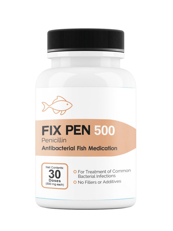 Fish Pen Forte™ - Penicillin 500 mg 30 count - OUT OF STOCK