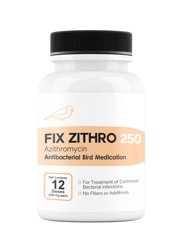 Bird Zithro™ - Azithromycin 250 mg Tablets 12 Count - OUT OF STOCK