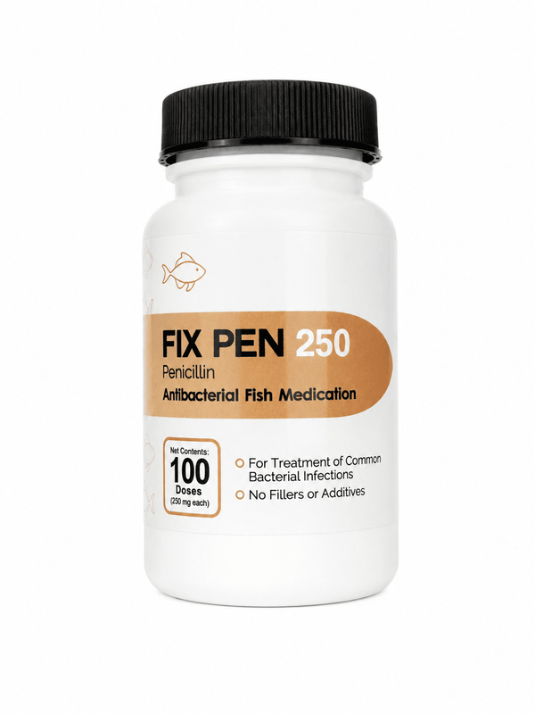 Fish Pen Penicillin 250 mg 100 count