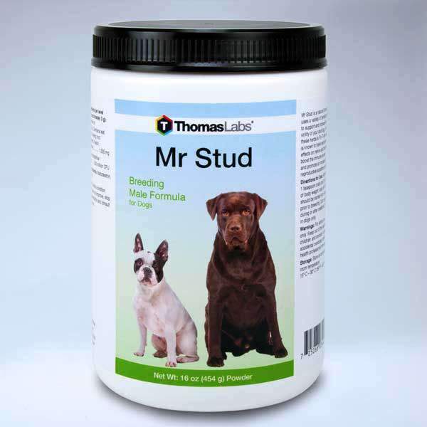 Mr Stud - 16 oz