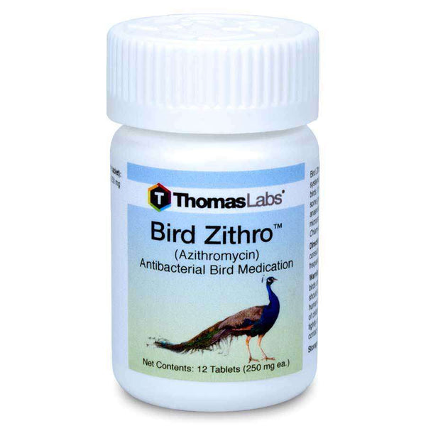 (OUT OF STOCK) Bird Zithro - Azithromycin 250 mg Tablets (12 Count) [DISCONTINUED]