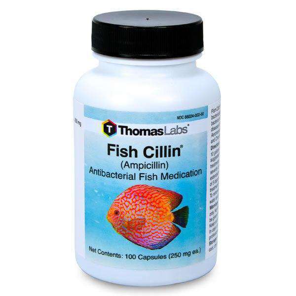 Fish Cillin - Ampicillin 250 mg Capsules (100 Count)