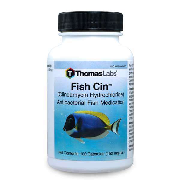 Fish Cin - Clindamycin 150 mg Capsules (100 Count)(DISCONTINUED)