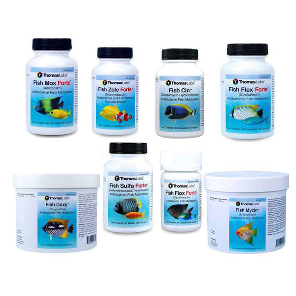 Fish Antibiotics Variety Package - 8 Count (OUT OF STOCK)