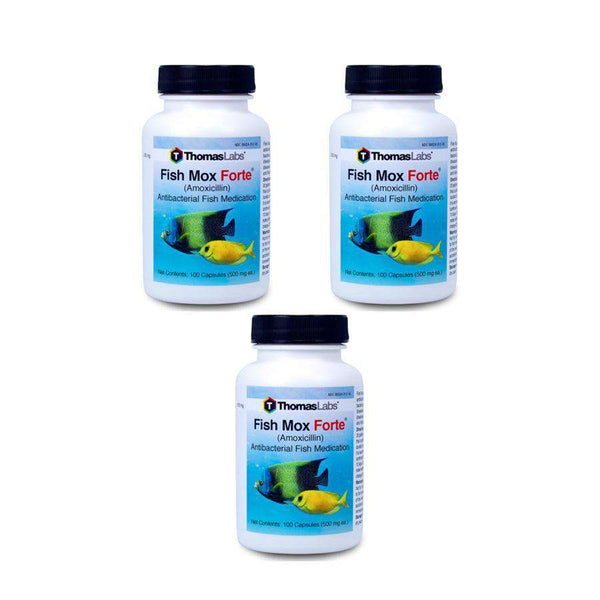 Fish Mox Forte - Amoxicillin 500 mg Capsules (100 Count) - 3 Pack [DISCONTINUED]