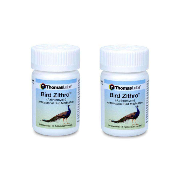 Bird Zithro - Azithromycin 250 mg Tablets (12 Count) - 2 Pack (OUT OF STOCK)