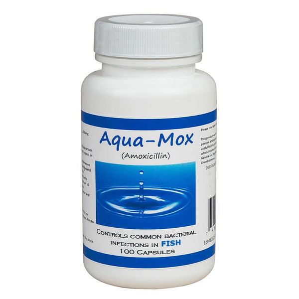 (Fish Mox Equivalent) Aqua Amoxicillin 250 mg - 100 count - Ships in 2-3 weeks