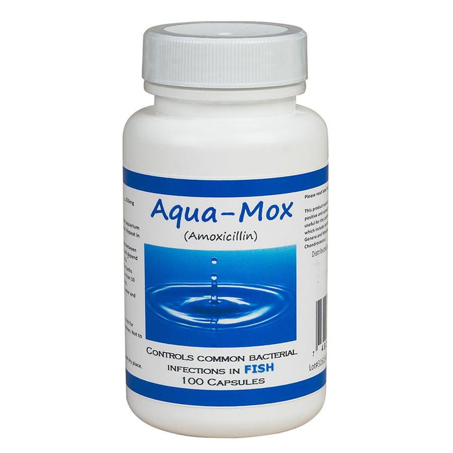 Fish Mox Amoxicillin Fish Antibiotics in 250 mg and 500 mg