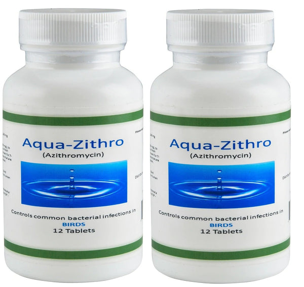 Bird Zithro Equivalent - Aqua Zithro Azithromycin 250 mg Tablets 12 Count - 2 PACK (UNAVAILABLE)
