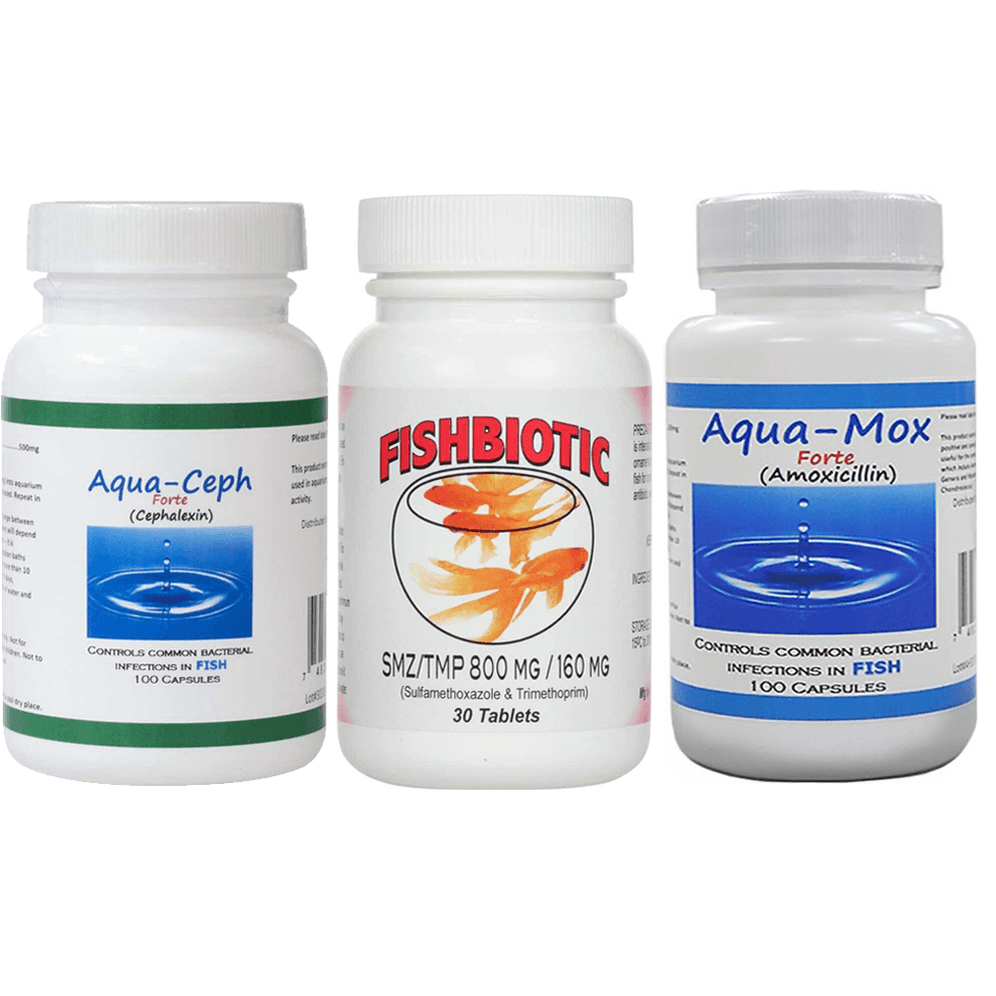 Cephalexin and Keflex Fish Antibiotics - Fish Flex & Fish Flex Forte ...
