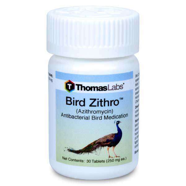 Bird Zithro - Azithromycin 250 mg Tablets (30 Count) (OUT OF STOCK)