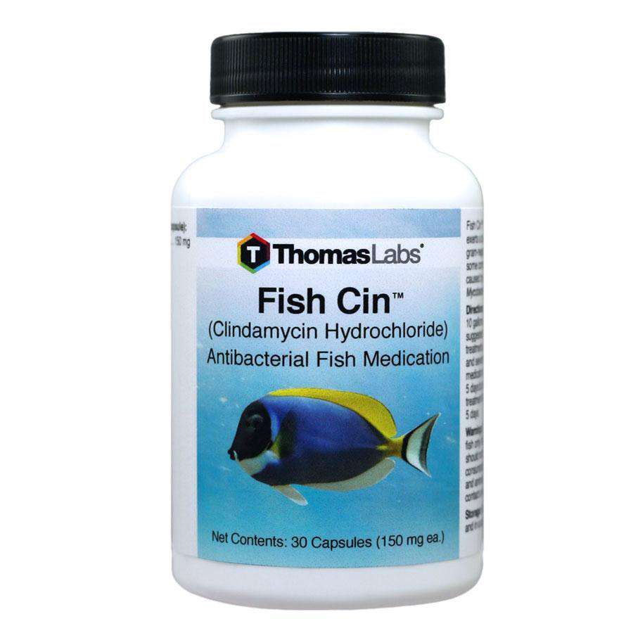 Fish Cin - Clindamycin 150 mg Capsules (30 Count) (DISCONTINUED)