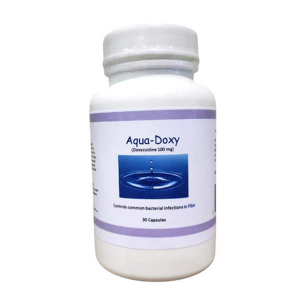 (Fish Doxy Equivalent) Fish Aqua Doxy Doxycycline 100 mg - 30 count (LOW STOCK)
