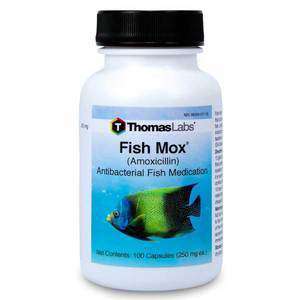 Fish Mox - Amoxicillin 250 mg Capsules (100 Count) (DISCONTINUED)