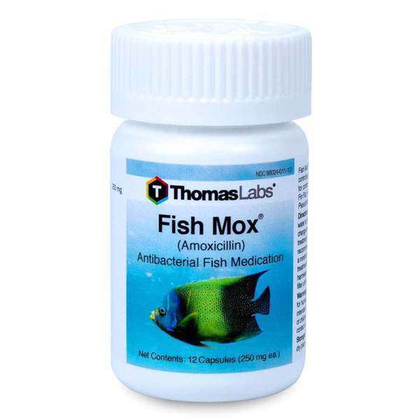 Fish Mox - Amoxicillin 250 mg Capsules (12 Count) [DISCONTINUED]
