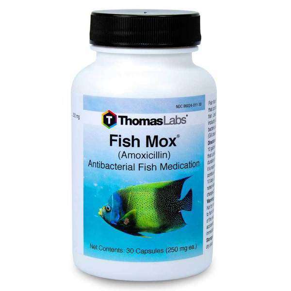 Fish Mox - Amoxicillin 250 mg Capsules (30 Count) [DISCONTINUED]