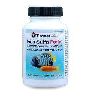 Fish Sulfa Forte - Sulfamethoxazole 800 mg, Trimethoprim 160 mg Tablets (100 Count) (DISCONTINUED)