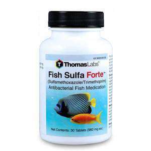 Fish Sulfa Forte - Sulfamethoxazole 800 mg, Trimethoprim 160 mg Tablets (30 Count) (DISCONTINUED)