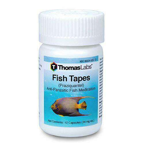 Fish Tapes - Praziquantel 34 mg Capsules (12 Count) [DISCONTINUED]