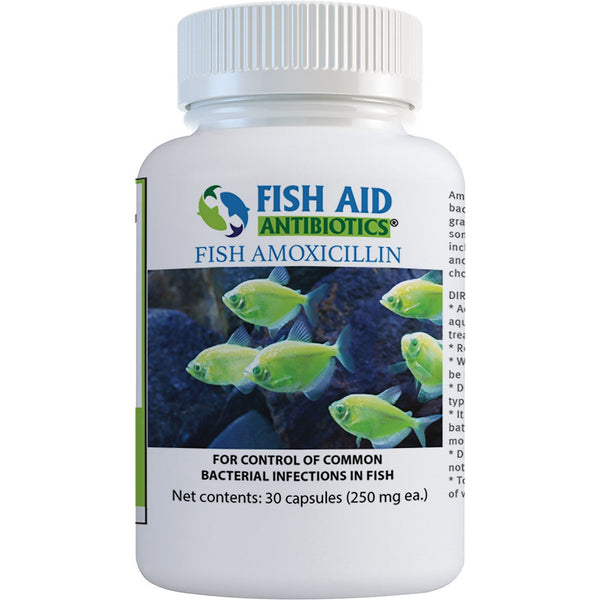 (Fish Mox Equivalent) Fish Amoxicillin 250 mg - 30 count [DISCONTINUED]