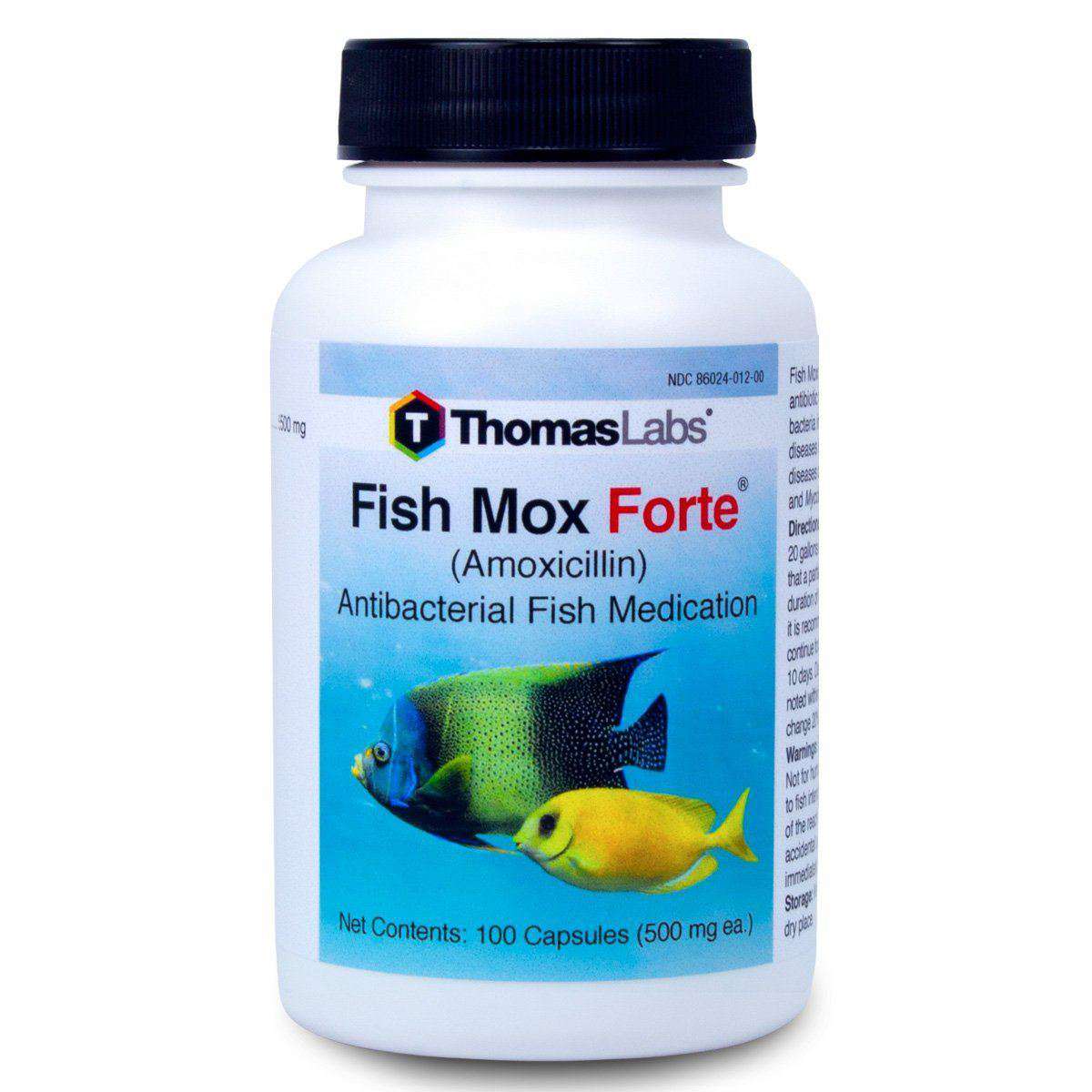 Fish Mox Forte - Amoxicillin 500 mg Capsules (100 Count) (Limited Stock) [DISCONTINUED]