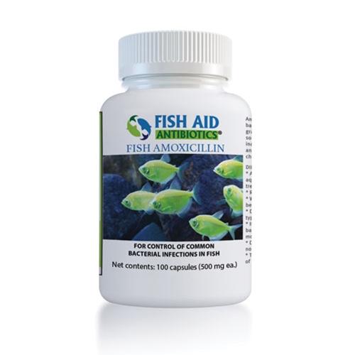 Fish Mox Forte Equivalent Fish Amoxicillin Plus 500 mg 100