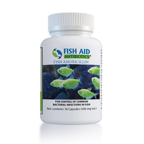 (Fish Mox Forte Equivalent) Fish Amoxicillin Plus - 500 mg - 30 Count (Discontinued)
