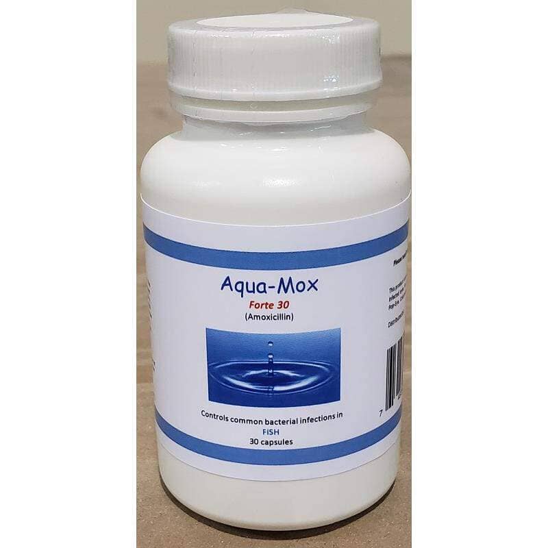 Fish Mox Forte Equivalent - Aqua Amoxicillin Plus - 500 mg 30 Count