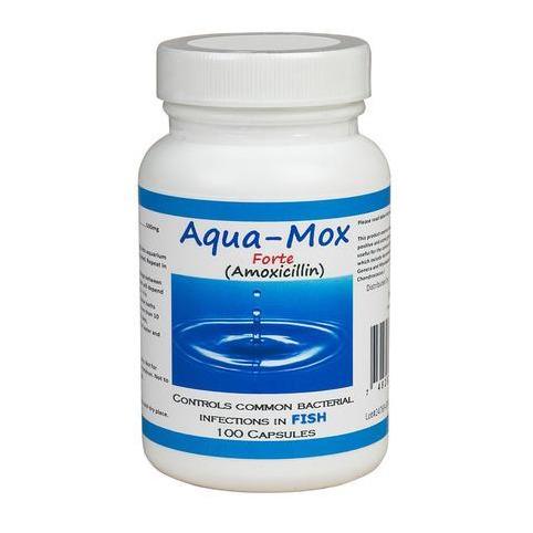 (Fish Mox Forte Equivalent) Aqua Amoxicillin Plus - 500 mg - 100 Count (OUT OF STOCK)